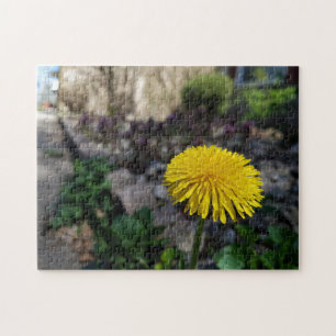 Flor creativa de dandelia foto rompecabezas rompec