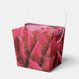 Flor De Aecmea Sacar La Caja De Favor