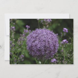 flor de alio púrpura - Tarjeta de saludo plana