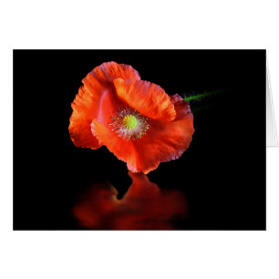 Flor de amapola roja