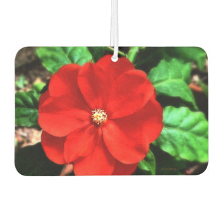 Flor de ambientador
