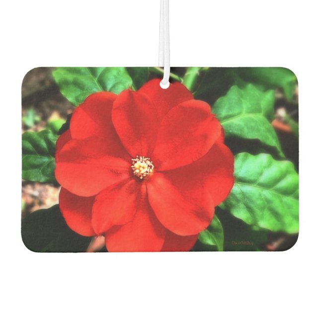 Flor de ambientador (Anverso)