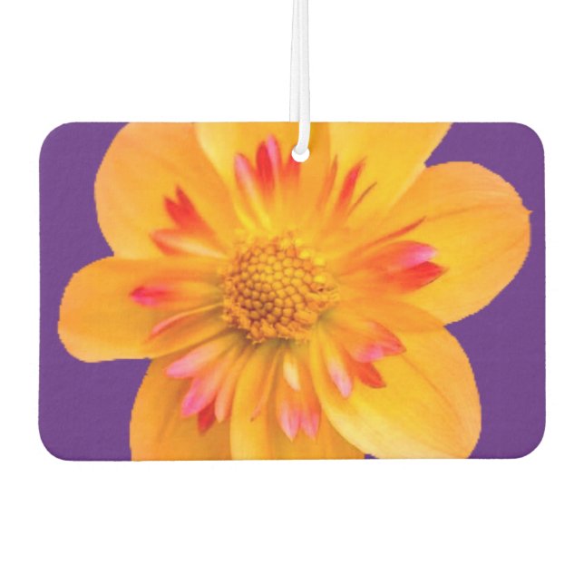Flor de ambientador (Anverso)