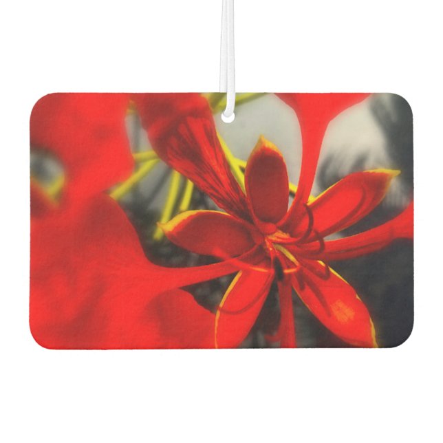 Flor de ambientador (Anverso)