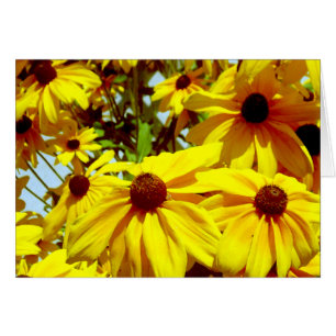 Flor de amor_