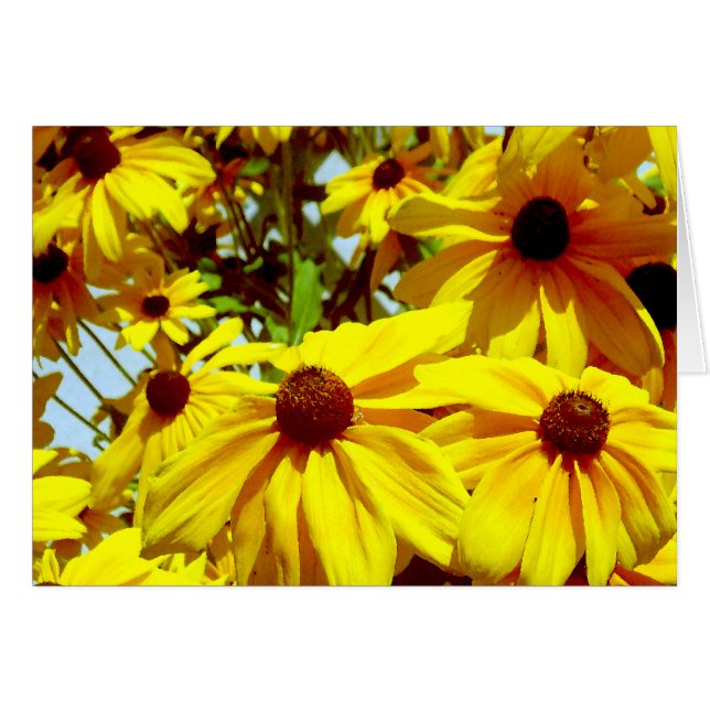 Flor de amor_ (Anverso (Horizontal))