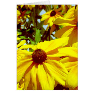 Flor de amor_