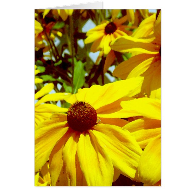 Flor de amor_ (Frente)