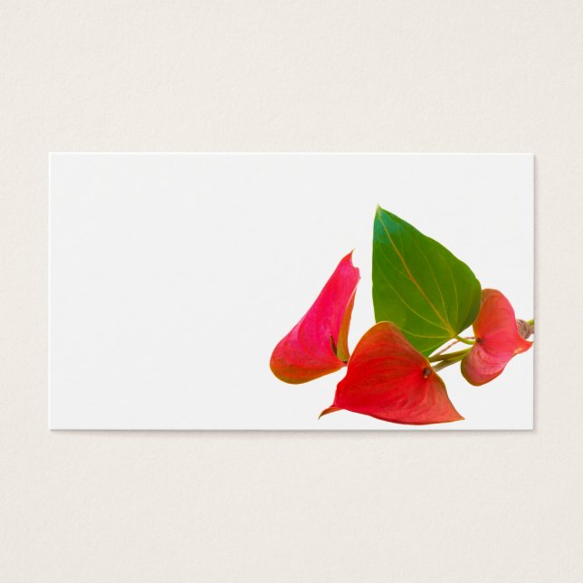 Flor de antrurio (Frente)