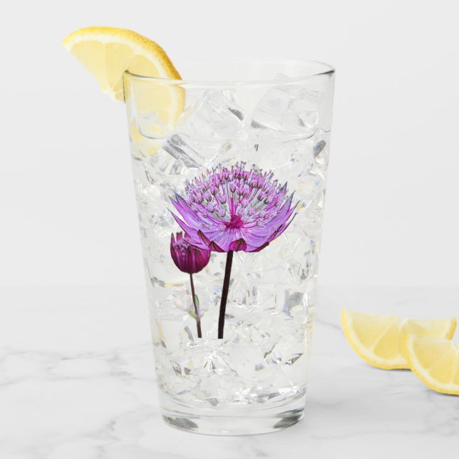 Flor de Astrantia rosa (Anverso (hielo))