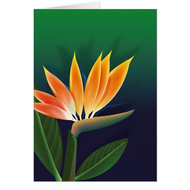 Flor de ave del paraíso (Frente)