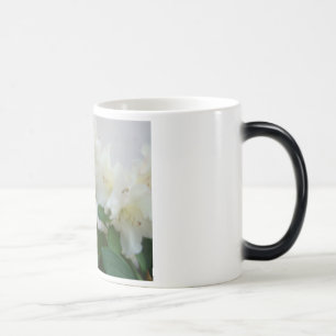FLOR DE AZALEA RHODIES Tarjetas Regalos Tazas