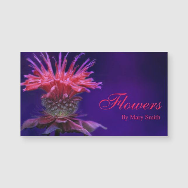 Flor de bálsamo de vino de frambuesa rosa en morad (Anverso)