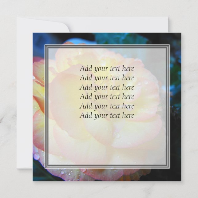 flor de begonia amarillo bonito (Anverso)