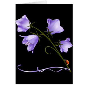 Flor de Bells of Ireland