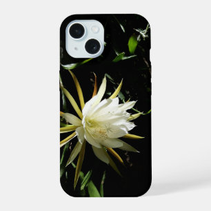 Flor de Cactus