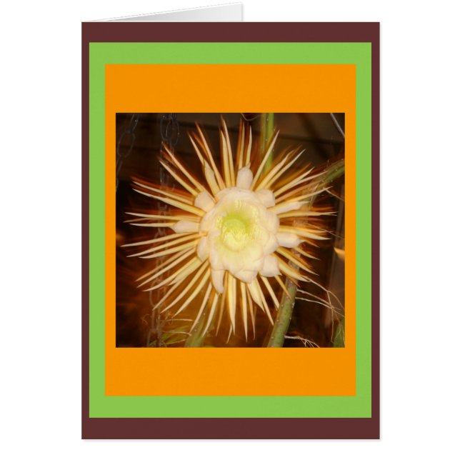 Flor de Cactus (Frente)