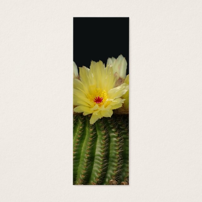 Flor de cactus amarilla (Frente)