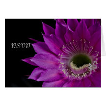 Flor de Cactus de Fuchsia RSVP