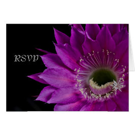 Flor de Cactus de Fuchsia RSVP
