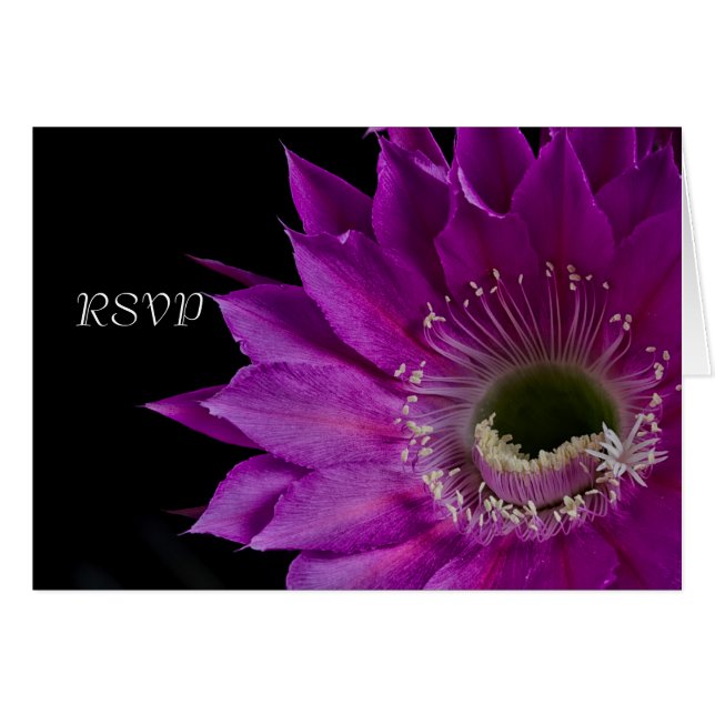 Flor de Cactus de Fuchsia RSVP (Anverso (Horizontal))