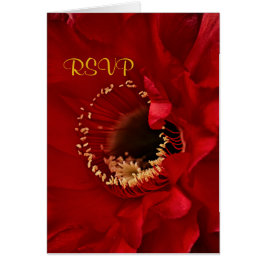 Flor de cactus rojos en flor RSVP