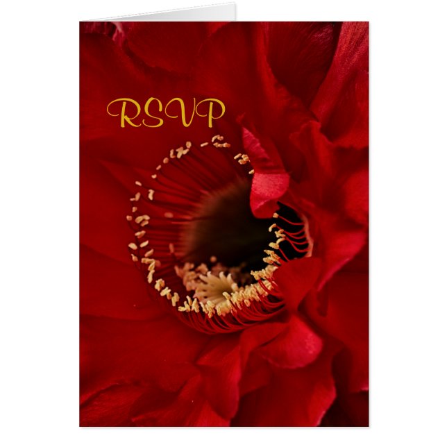 Flor de cactus rojos en flor RSVP (Frente)