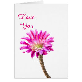 Flor de cactus rosada en flor