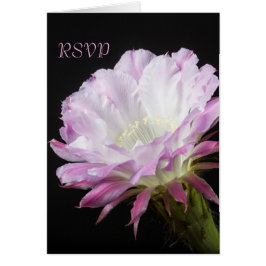 Flor de cactus rosado en flor RSVP