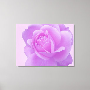 Flor de camellia púrpura artística Foto de arte fl