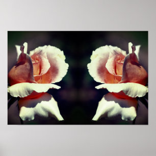 Flor de capullo de rosa melocotón Espejo Arte de l