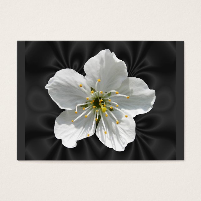 Flor de cerezo ~ ATC (Frente)