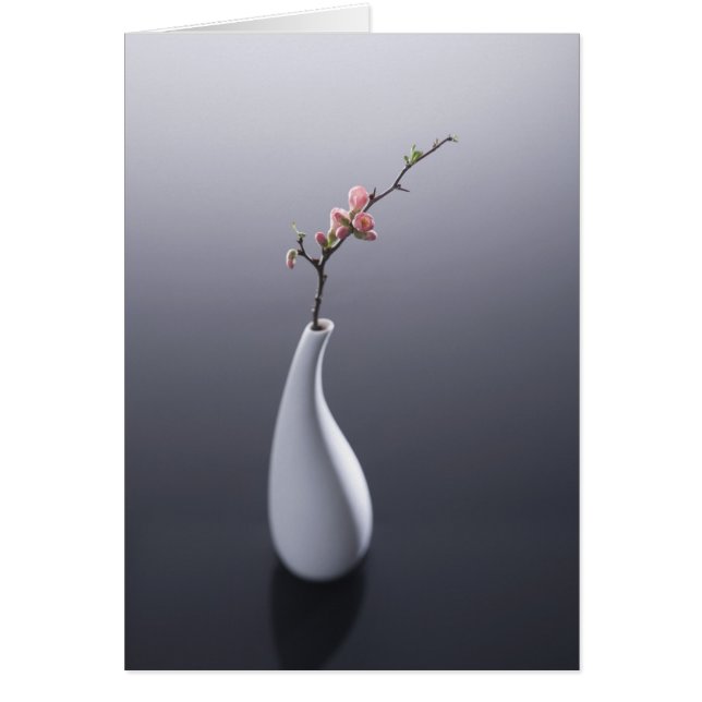 Flor de cerezo en florero (Frente)