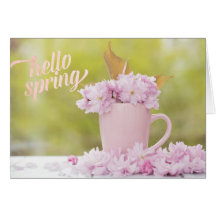 Flor de cerezo Flor Stilllife Spring Textos