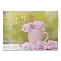 Flor de cerezo Flor Stilllife Spring Textos