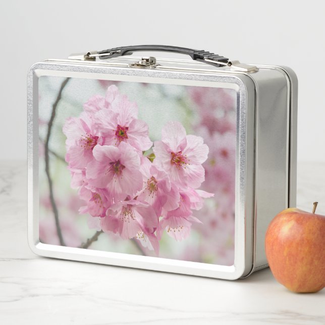 Flor de cerezo, fotografía de flor rosa (In situ)
