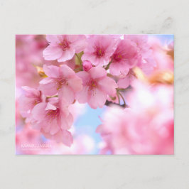 Flor de cerezo "Kawazu-zakura": postal