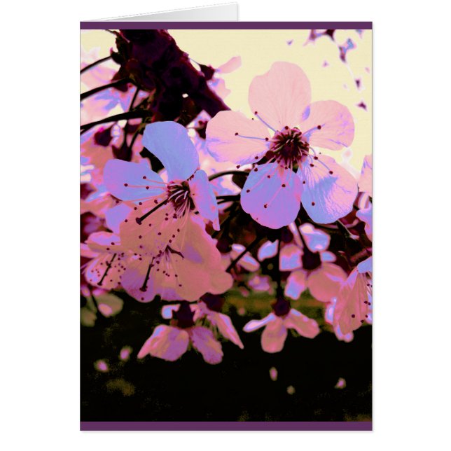 Flor de cerezo rosa (Frente)