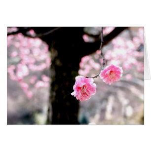 Flor de ciruela rosa