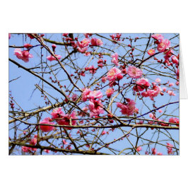 Flor de ciruela rosa