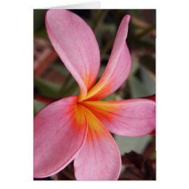 flor de cita romántica rsvp moda colorida