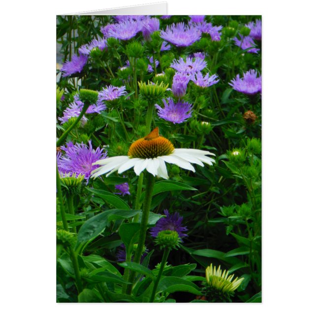 Flor de cono blanco, flores moradas y polilla (Frente)