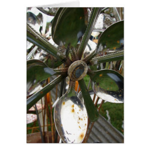 Flor de cuchara