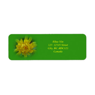 Flor de diente de león de primavera, etiquetas ver