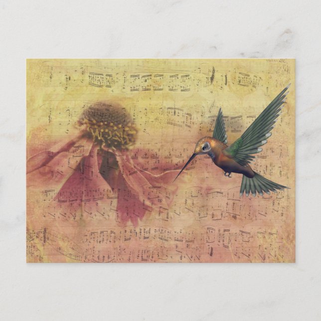 Flor de época y notas musicales de Hummingbird (Anverso)
