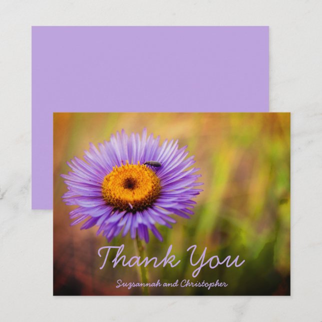 Flor de Erigeron Morado Personalizada con Insecto (Anverso / Reverso)