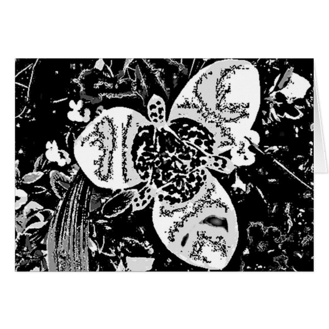 flor de estilo abstracto contemporáneo en blanco y (Anverso (Horizontal))