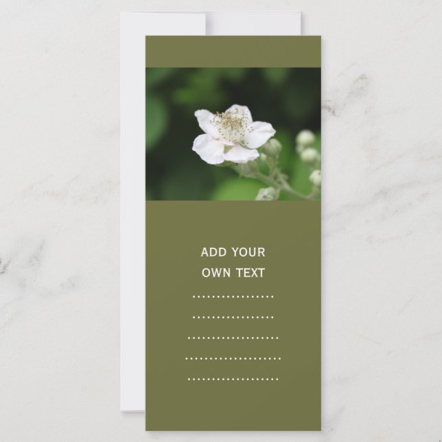 Flor de frambuesa blanca y salvaje. (Anverso)