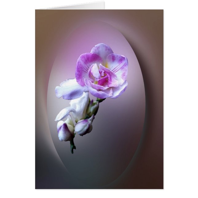 flor de freesia rosa (Frente)