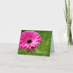 Flor de Gerbera Rosa Tarjeta de Agradecimiento